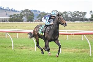 Sea Mist, Terang, April 2024